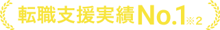 転職支援実績No1